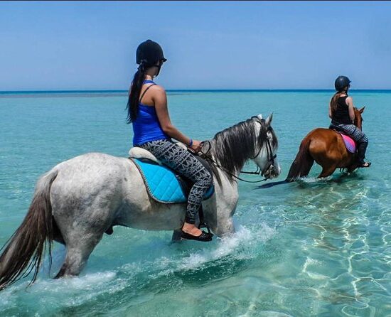 Pferde Reiten Hurghada | Privater Reitausflug am Strand und in der Wüste
