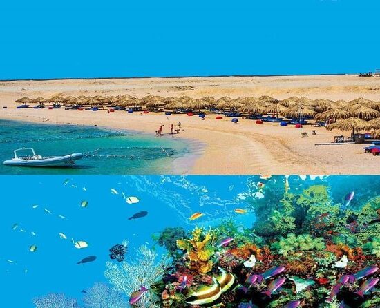 Sharm El Naga schnorcheln