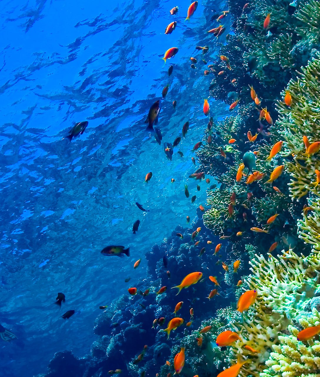 Hurghada Ausflüge